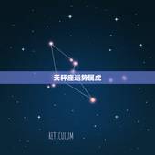 天秤座运势属虎，属虎，天秤座今年的运势如何？爱情方面
