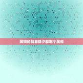 属狗的躲春除夕躲哪个属相，2021年立春躲春的生肖
