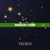 摩羯座运势12月运势，摩羯座12月12号考试运势