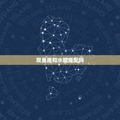 双鱼座和水瓶座配吗，水瓶座和什么座最配