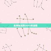 生肖蛇运势2022年运程，2022年12生肖运势解析