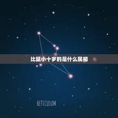 比鼠小十岁的是什么属相，比属鼠的人大十岁是属啥的？