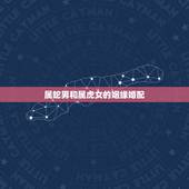 属蛇男和属虎女的姻缘婚配，属蛇男和属虎女真像他们老人家说的不配吗？