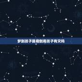 梦到孩子属相倒霉孩子有灾吗，孩子的属相怎么判断