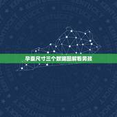 孕囊尺寸三个数据图解看男孩，胎囊大小为3.8*1.7胎芽为0.9cm是