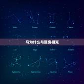 马为什么与属兔相克，兔的正缘桃花是谁