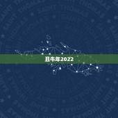 丑牛年2022 运势，免费生辰八字五行分析
