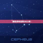 属蛇虎年运势2022年，77年蛇哪年转大运