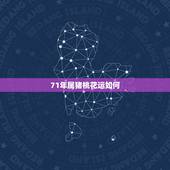 71年属猪桃花运如何，71年猪女的桃花运