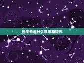 长生香是什么意思和征兆，天地香是什么意思