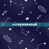 2022年生肖虎的全年运势，2022什么年属什么生肖更好