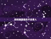 狗和猪属相合不合家人，狗和猪属相合不合