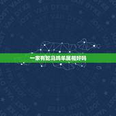 一家有蛇马鸡羊属相好吗，属马的和属羊的的孩子什么属相好