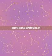 属鸡今年财运运气如何2023(展望未来财运旺盛运势大好)