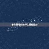 老公属马的配什么属相最好，属马男和什么属相最配
