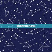 属羊的今年几岁呀，属羊的今年几岁对照表