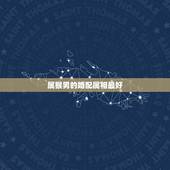属猴男的婚配属相最好，男属猴是和什么属相最合适？