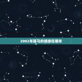 2002年属马的姻缘在哪年，2002年出生属马的今年多大