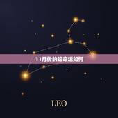11月份的蛇命运如何，虎年宝宝应避开几月出生更好