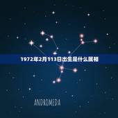 1972年2月113日出生是什么属相，1972年2月出生的属相是什么？