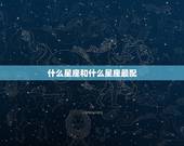 什么星座和什么星座最配，什么星座最配什么星座