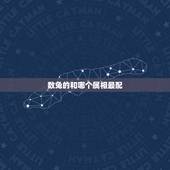 数兔的和哪个属相最配，属兔和什么属相最配