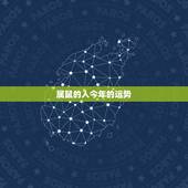 属鼠的人今年的运势，属羊今年的运势
