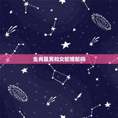 生肖鼠男和女蛇婚配吗，属鼠和蛇相配吗