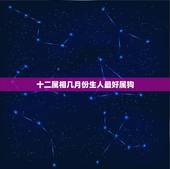 十二属相几月份生人最好属狗，属狗的几月出生最好