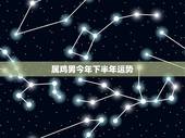 属鸡男今年下半年运势，1981年属鸡男2021年运势及运程