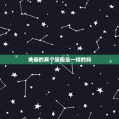 夫妻的两个属相是一样的吗，相同属相的两个人能结婚吗