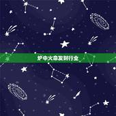 炉中火命发财行业，五行有人说我是炉中火适合做什么生意