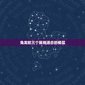 兔龙蛇三个属相适合的楼层，属相龙蛇同时适合的楼层
