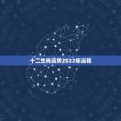 十二生肖运势2022年运程，2022年犯太岁的4大生肖什么生肖在202