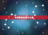 今年属鼠的是什么命，2022 属鼠的宝宝取名