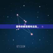 属牛的都是哪年出生，属牛的是几几年生的？