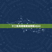 十二生肖婚姻更佳搭配2022，十二生肖更佳姻缘配对