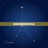 属虎宝宝男孩名字大全 人缘好最受欢迎的星座