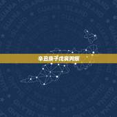 辛丑庚子戊寅丙辰，戊寅日丙辰时
