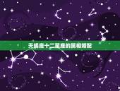 天蝎座十二星座的属相婚配，十二生肖和十二星座哪个更准确些