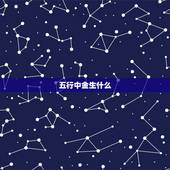 五行中金生什么，生辰八字中五行各代表什么？