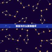 属鼠与什么属相相冲，生肖鼠与生肖鼠相冲吗