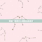 家里一般养什么植物比较适合，家里养什么花（放在卧室里）最合适？