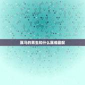 属马的男生和什么属相最配，男人属马的和什么属相最配，女性属马的属相婚配