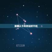 属猴人今年财运好不好，属猴的今天财运方位