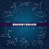 属兔的和哪个属相比较配，属兔的和什么属相最好