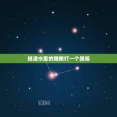 掉进水里的鞭炮打一个属相，除夕夜放鞭炮半截灭火有什么说法