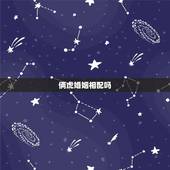 俩虎婚姻相配吗，两个虎属相在一起合适吗