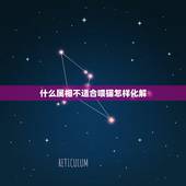 什么属相不适合喂猫怎样化解，怎样破解不适合养猫的