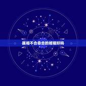 属相不合命合的婚姻好吗，属相不合能结婚吗？有没有属相不合结婚了而过的好